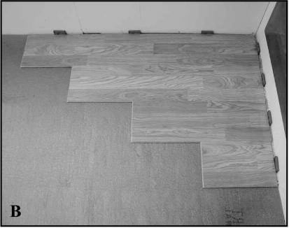 Layout room with pad & laminate